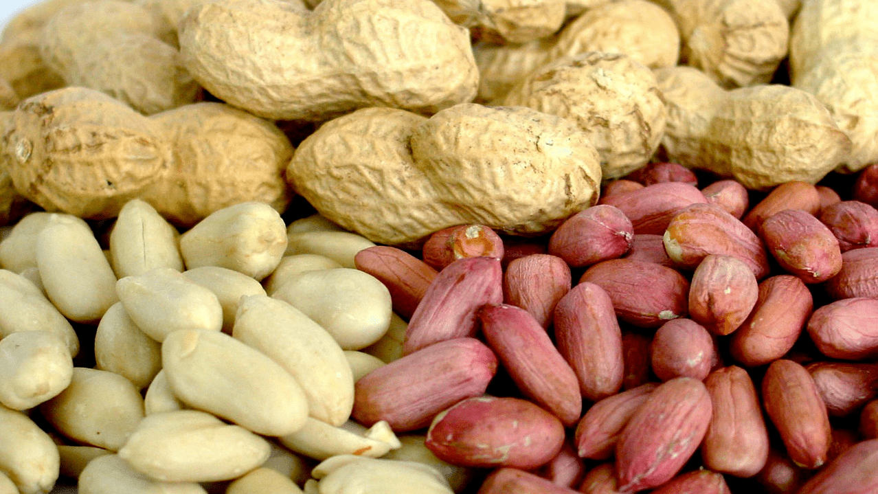 kacang tanah dan almond untuk potensi
