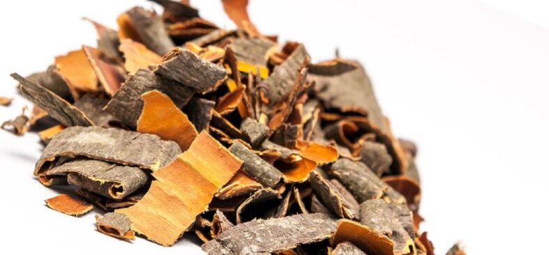 Kulit kayu aspen untuk persiapan kaldu dan infus yang meningkatkan potensi pria