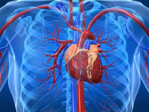 Latihan peningkatan potensi dikontraindikasikan pada penyakit jantung